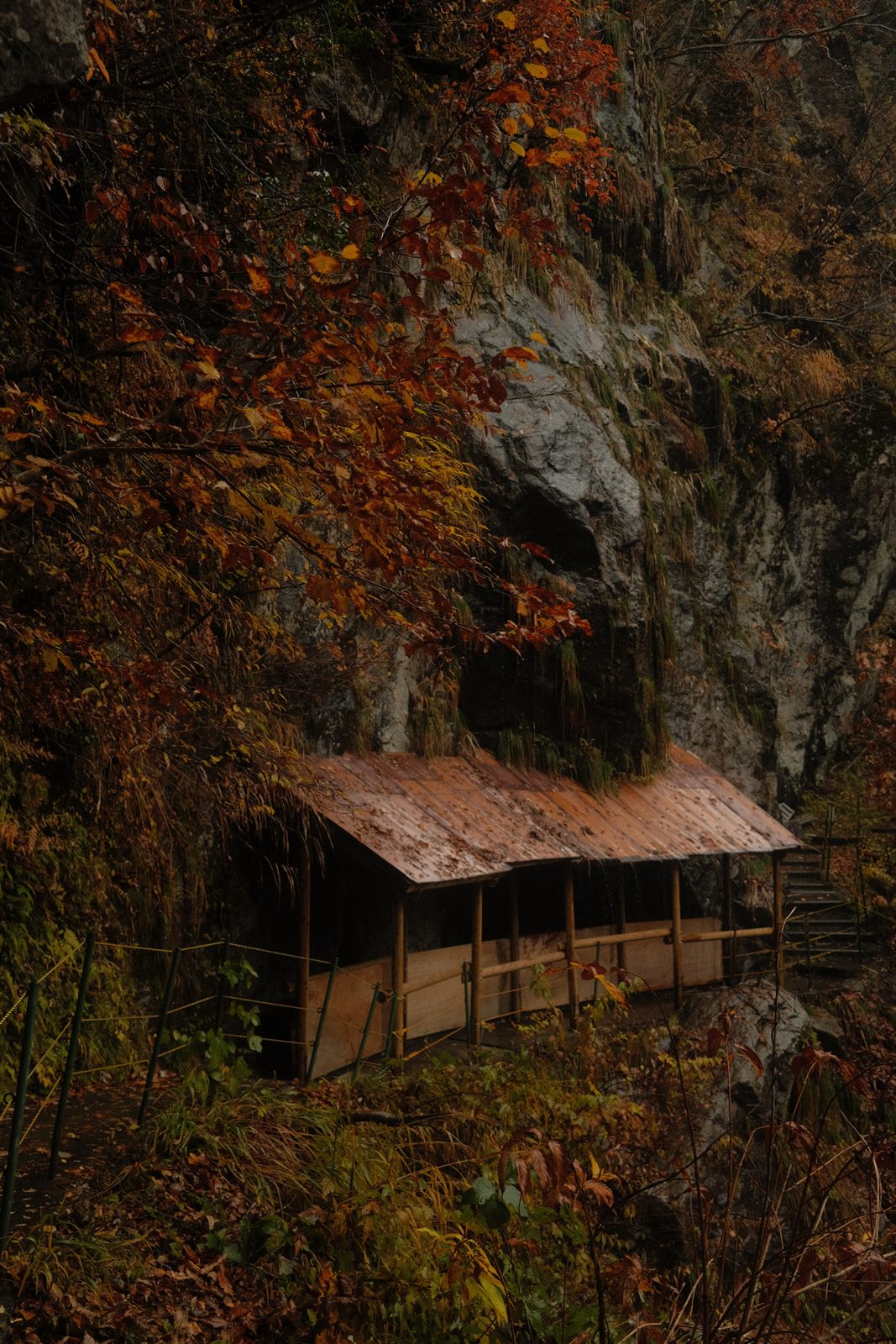 Mountain gorge scenery in Kurobe, Japan