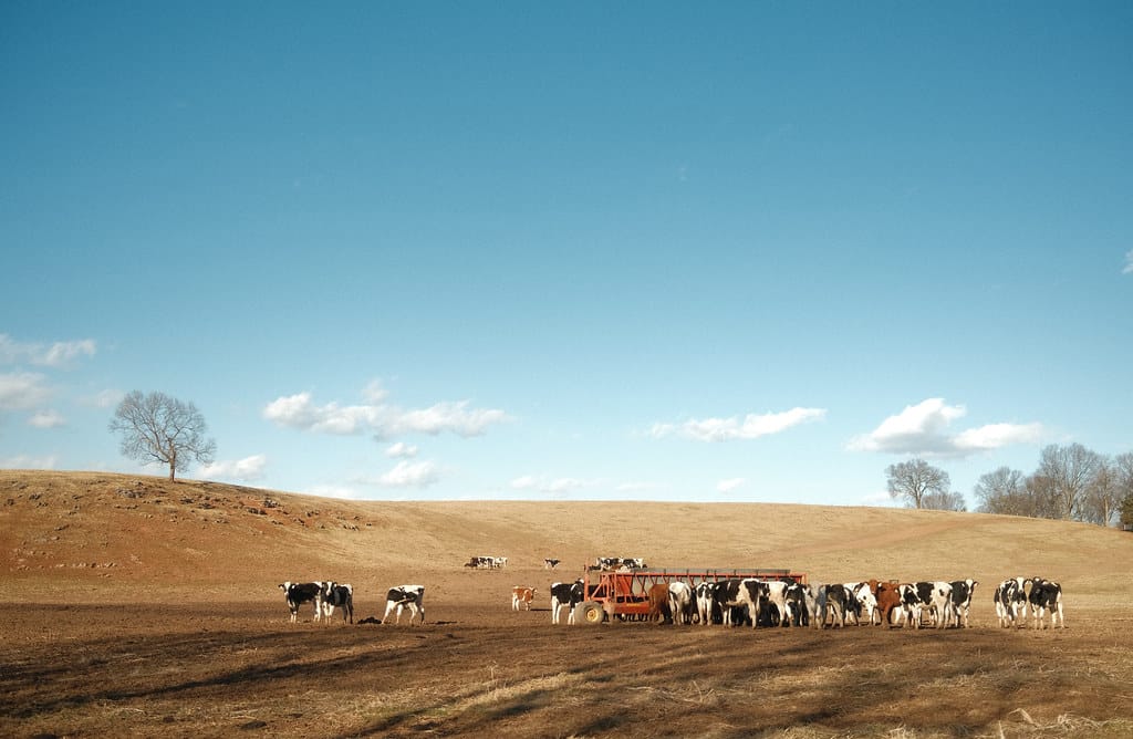 Mountains near Luray, Virginia